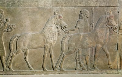 Relief représentant les tributaires de Sargon II, du palais de Sargon II à Khorsabad, Irak - Assyrian